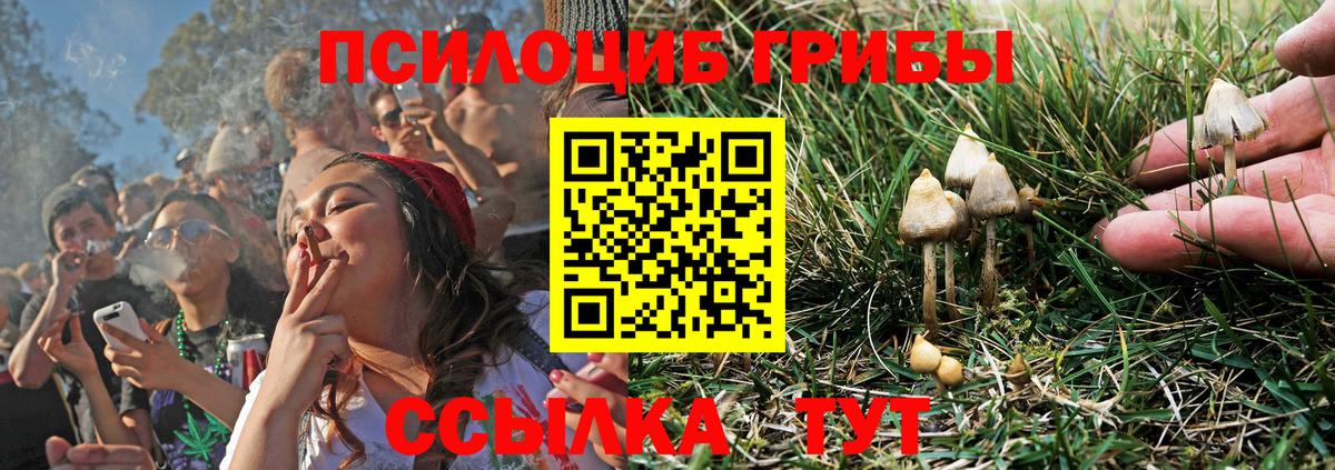 Псилоцибиновые грибы Magic Shrooms Сызрань