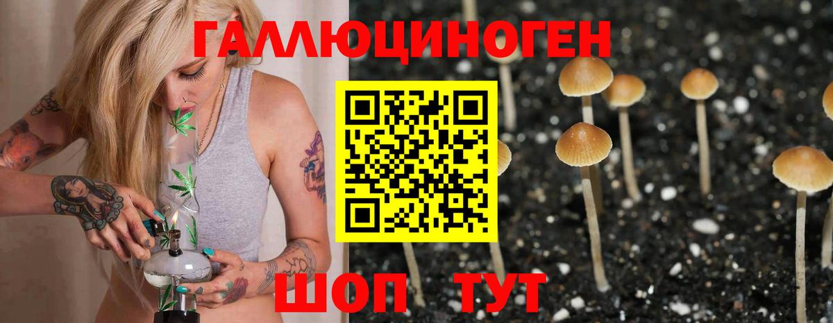 Псилоцибиновые грибы мухоморы  купить   Сызрань  Вход с VPN 